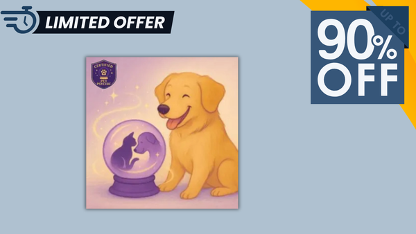 Don't Buy Pet Psychic Reading Until You Read This: 5 Worst Pieces of Advice Debunked (USA Edition)